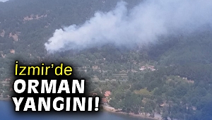 İzmir'de orman yangını çıktı!