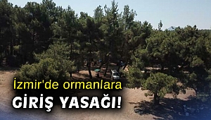 İzmir'de ormanlara giriş yasağı!