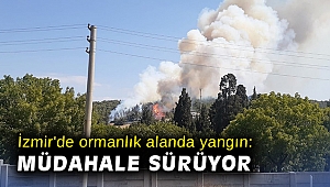 İzmir'de ormanlık alanda yangın