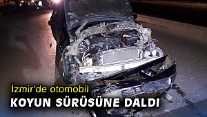 İzmir’de otomobil koyun sürüsüne daldı