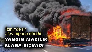 İzmir’de tır alev topuna döndü, yangın makilik alana sıçradı