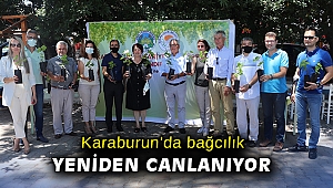 Karaburun’da bağcılık yeniden canlanıyor