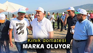 Kınık domatesi marka oluyor