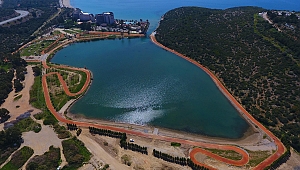 Kuşadası Belediyesi’nden orman yangınlarına karşı hassasiyet