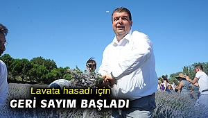 Lavanta hasadı için geri sayım başladı