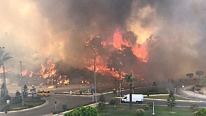Manavgat'ta 2 farklı noktada yangın çıktı! Vatandaşlar seferber oldu