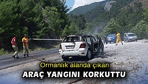 Ormanlık alanda çıkan araç yangını korkuttu
