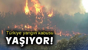 Türkiye yangın kabusu yaşıyor!