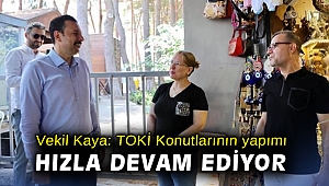 Vekil Kaya: TOKİ Konutlarının yapımı hızla devam ediyor