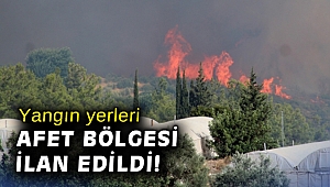 Yangından etkilenen yerler 'Genel Hayata Etkili Afet Bölgesi' ilan edildi