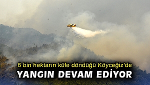 6 bin hektarın küle döndüğü Köyceğiz’de yangın devam ediyor