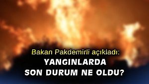 Bakan Pakdemirli açıkladı: Yangınlarda son durum ne oldu?