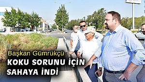 Başkan Gümrükçü koku sorunu için sahaya indi