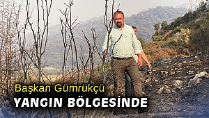 Başkan Gümrükçü Marmaris yangın bölgesinde