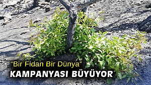 “Bir Fidan Bir Dünya” kampanyası büyüyor