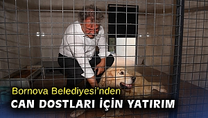 Bornova Belediyesi’nden can dostları için yatırım