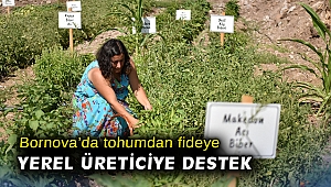 Bornova’da tohumdan fideye yerel üreticiye destek