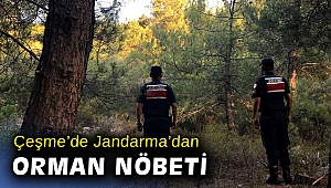 Çeşme'deki ormanlık alanlarda devriye nöbeti başladı