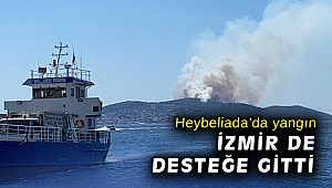 Heybeliada'da orman yangını başladı!