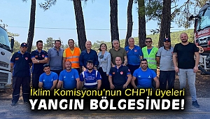 İklim Komisyonu’nun CHP’li üyeleri yangın bölgesinde!