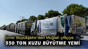 İzmir Büyükşehir’den Muğla’da yangından etkilenen üreticilere 350 ton kuzu büyütme yemi
