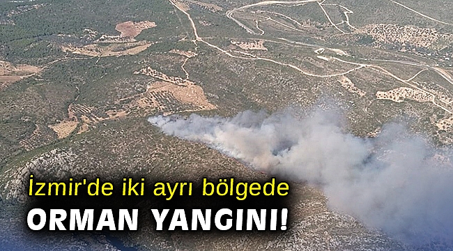 İzmir'de iki ayrı bölgede orman yangını!