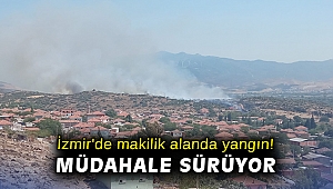 İzmir'de makilik alanda yangın! Müdahale sürüyor