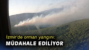 İzmir’de orman yangını: Havadan ve karadan müdahale ediliyor
