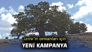 İzmir’in ormanları için yeniden “İzmir dayanışması”