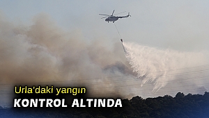 İzmir Urla'daki makilik alan yangını kontrol altında