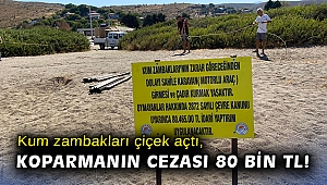 Kum zambakları çiçek açtı, koparmanın cezası 80 bin TL