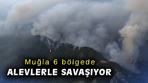 Muğla 6 bölgede alevlerle savaşıyor