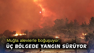 Muğla alevlerle boğuşuyor: Üç bölgede yangın sürüyor