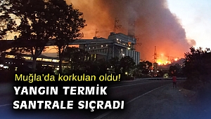 Muğla'da yangın termik santrale sıçradı, 10 mahalle tahliye edildi