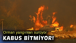 Sağlık Bakanı Koca yangın bölgelerindeki son durumu paylaştı