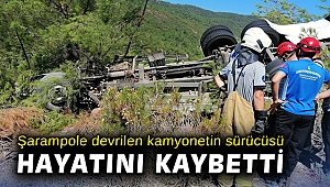 Şarampole devrilen kamyonetin sürücüsü hayatını kaybetti