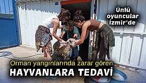 Ünlü oyunculardan orman yangınlarında zarar gören hayvanlara yardım eli