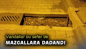 Vandallar bu sefer de mazgallara dadandı