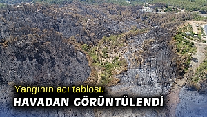 Yangının acı tablosu havadan görüntülendi
