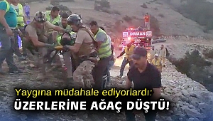 Yaygına müdahale ediyorlardı: Üzerlerine ağaç düştü!