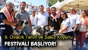 6. Ovacık Tarım ve Sakız Koyunu Festivali başlıyor!