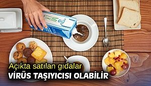 Açıkta satılan gıdalar virüs taşıyıcısı olabilir