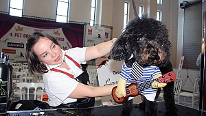 Akıllı köpekler alkışları topladı