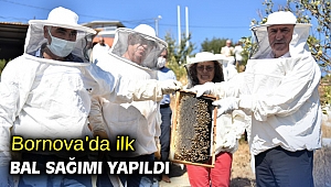 Bornova'da ilk bal sağımı yapıldı
