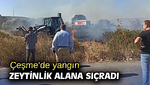 Çeşme'de yangın zeytinlik alana sıçradı