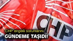 CHP engelli sorunlarını gündeme taşıdı!