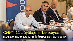 CHP’li 11 büyükşehir belediyesi ortak orman politikası belirliyor