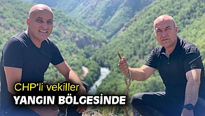CHP'li vekiller yangın bölgesinde