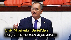 CHP Milletvekili Sertel'den flaş Vefa Salman açıklaması