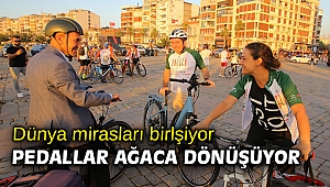 Dünya mirasları birleşiyor, pedallar ağaca dönüşüyor